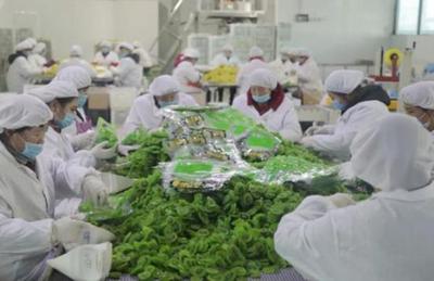 看“四園”促發(fā)展 2019網(wǎng)絡(luò)媒體周至行采風(fēng)活動圓滿落幕，聚焦食品銷售創(chuàng)新